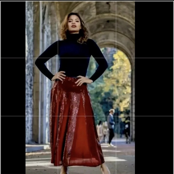 Zara Burgundy Sequin Skirt Nwt Size S 